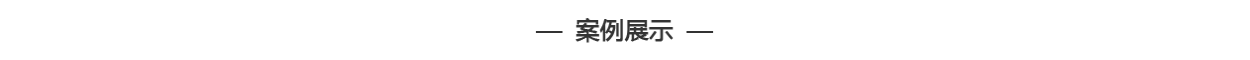 案例展示