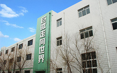 巨微簡介