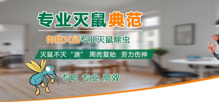 眉山灭鼠,眉山灭鼠公司,眉山除虫,眉山除虫公司