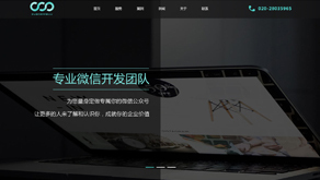 郑州网站建设公司