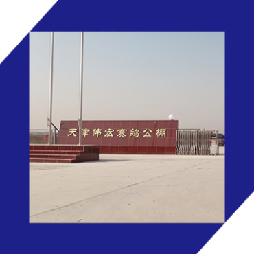天津伟宏赛鸽公棚