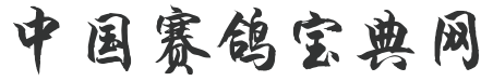 中国赛鸽宝典网