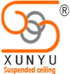 柏声迅域LOGO