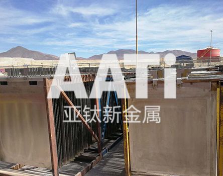 模块标题