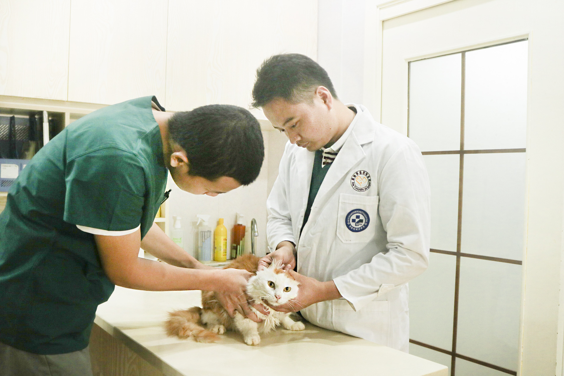 汉阳总院_武汉联合动物医院|武汉24小时宠物医院|武汉宠物医院|武汉动物医院