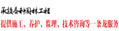 龍柱碧桃