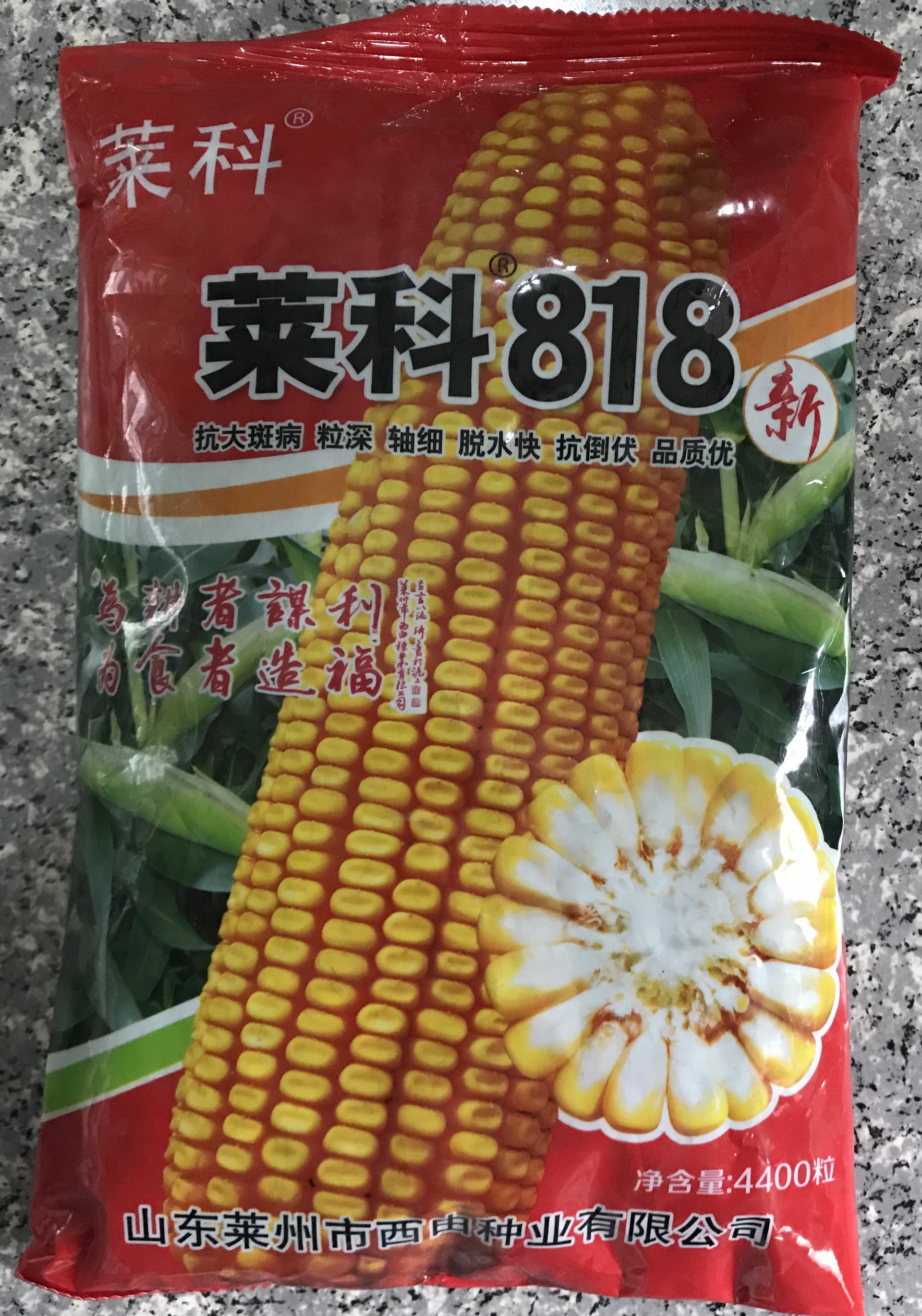 公司产品  玉米种子 莱科818