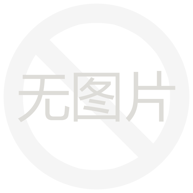 GE_DONGYING RIGTECH PETROLEUM EQUIPMENT CO., LTD.