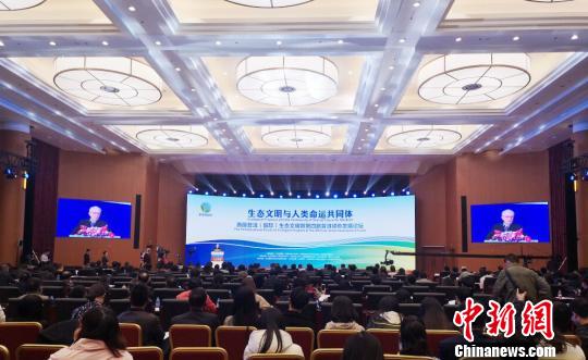 学者共话绿色发展:以生态文明建设推动构建人类命运共同体