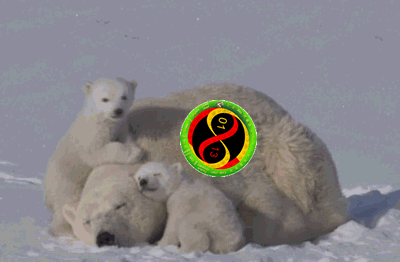 640 (1).gif