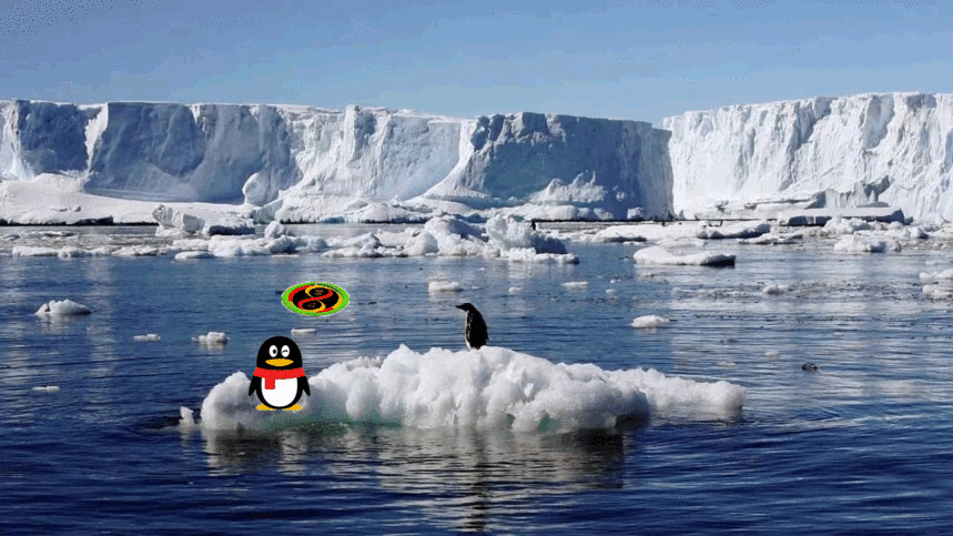 1539660319490088.gif 01-116-66-11.gif
