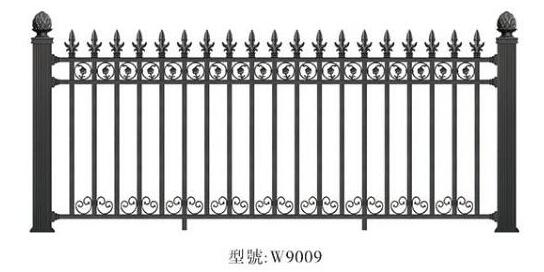 9009.jpg