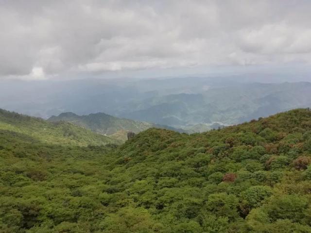1552263641720954.jpg ceb0e7557087473daaba01ddee79cb90.jpg