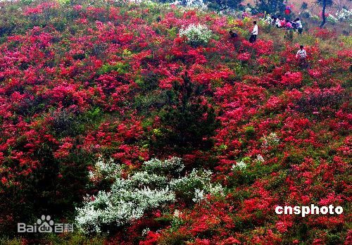 1502173666631735.jpg 1502173666631735.jpg