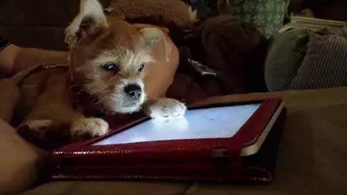 ����249��վ֮����Ѿ�Ʒ��վ��������ƽ̨���΢��С����