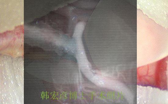 1Ѫ·-1.jpg