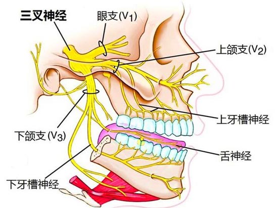 1沿֧01.jpg