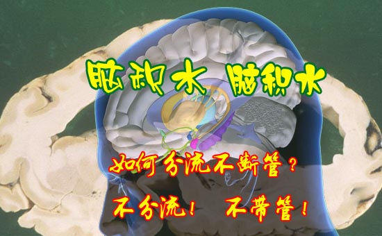 1Իˮ-1.jpg