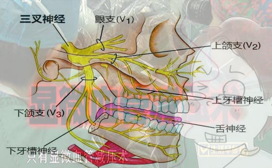 1ʹss-1.jpg