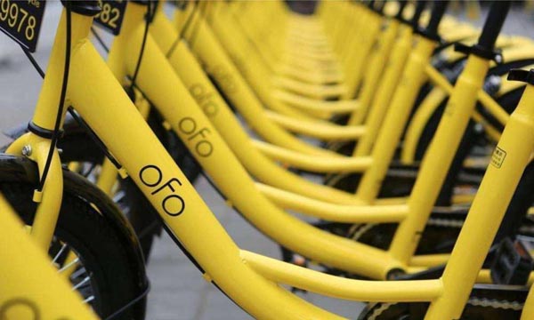 1ofo1.jpg