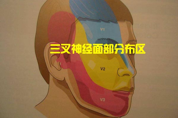 1񾭷ֲ-1.jpg