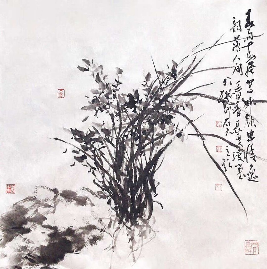 20180501������֮ܰ��.jpg