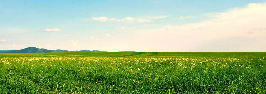 1544674802684070.jpg 未命名_meitu_1.jpg