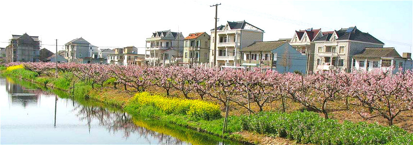 1547653843997117.jpg 未命名_meitu_1.jpg