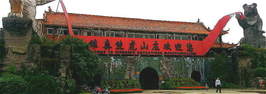 1547795705487658.jpg 未命名_meitu_1.jpg