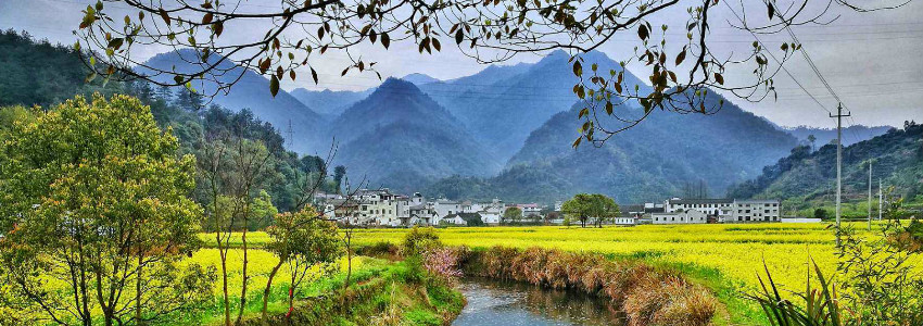 1549562998223136.jpg 未命名_meitu_1.jpg