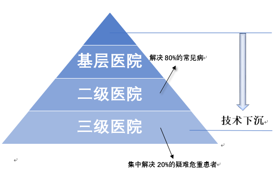 IMG_5332.PNG