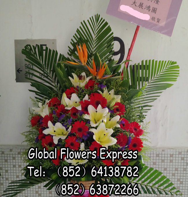ob530d观塘送开张花篮观塘开业花篮速递观塘网上订花篮香港商务花篮