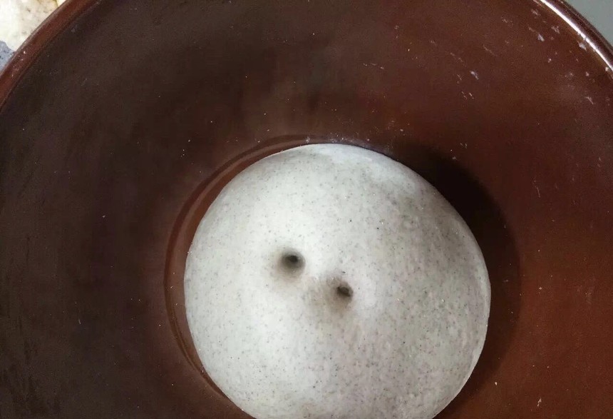1518592566827764.jpg