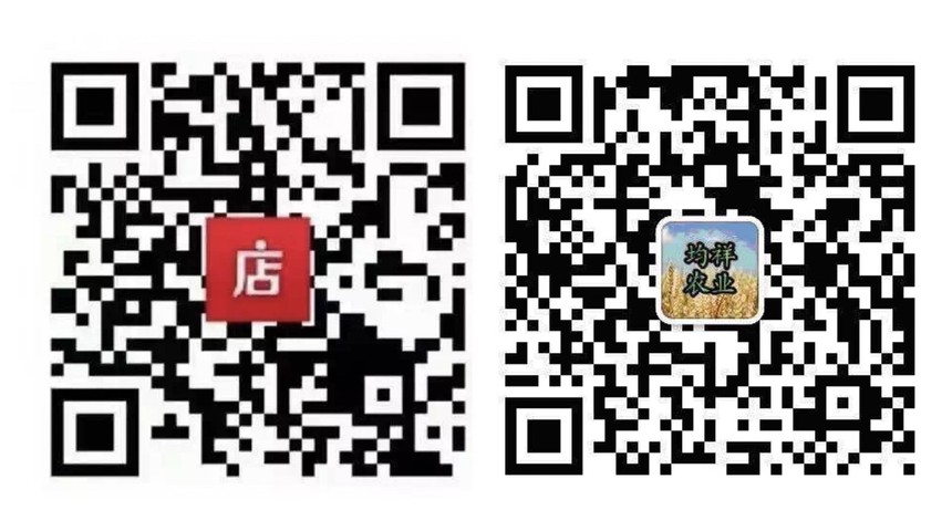 1520584414734085.jpg
