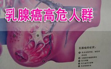 t0116a7bdff9581ee46.jpg