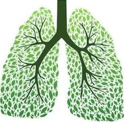 t01a6d10c1371840cbd.jpg
