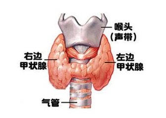 t01fc90b3a073e045d3.jpg