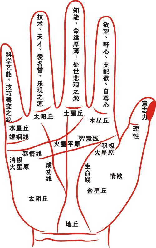 1533824230429619.jpg c3894d7c953f18924110496f45ab6cb2.jpg