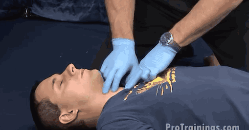 1530846026772148.gif