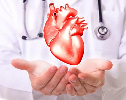 1490170369675509.jpg 冠心病发作率.jpg