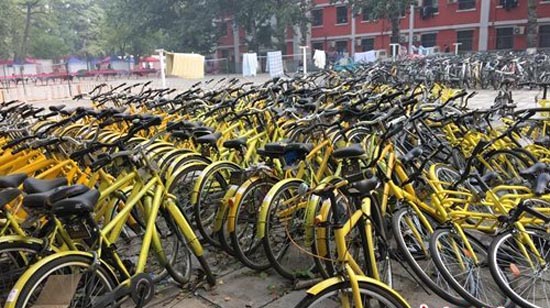 1491105015242047.jpg 某所高校内的共享单车1.jpg