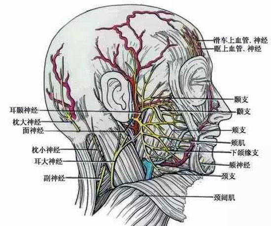 漡Ѫһ1-33.jpg