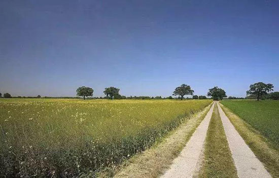 1516547350926860.jpg 春天原野.jpg