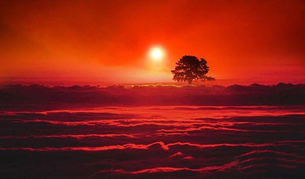 1516984762830182.jpg 担个日头回家0.jpg