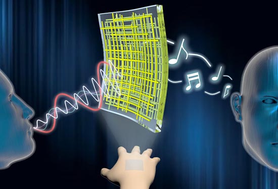 1533461737169862.jpg 韩国人开发出柔性扬声器.jpg