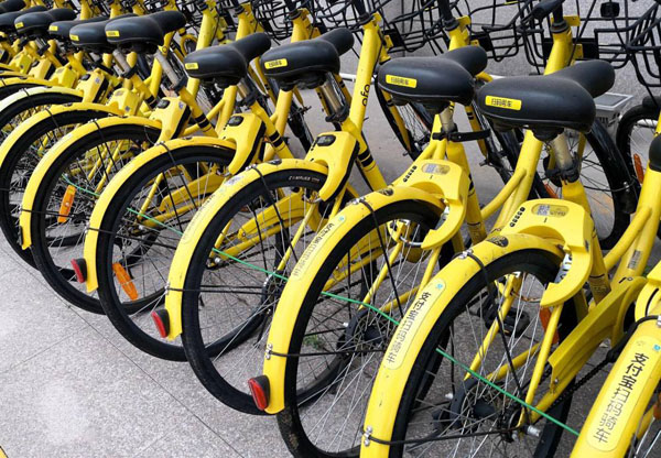 1542537535407704.jpg 1ofo共享单车0.jpg