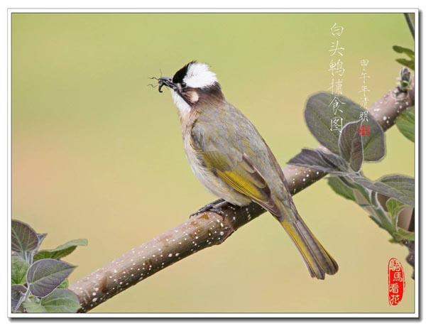 1542619659476721.jpg 早起的鸟儿有虫吃1.jpg