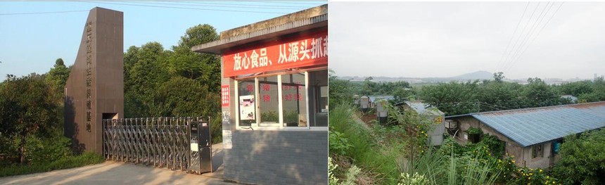 QQ��ͼ20180304120011.jpg