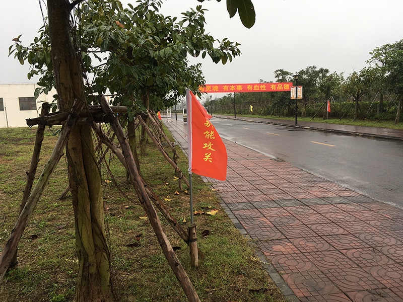 &#20048;&#25237;&#22312;&#32447;&#45;&#20048;&#25237;&#22312;&#32447;&#40;&#20013;&#22269;&#41;