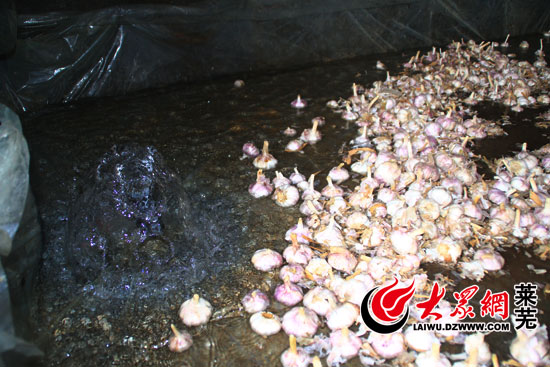 点击浏览下一张 点击浏览下一张